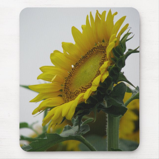 Sunflower Series Mouse Pad (Front)