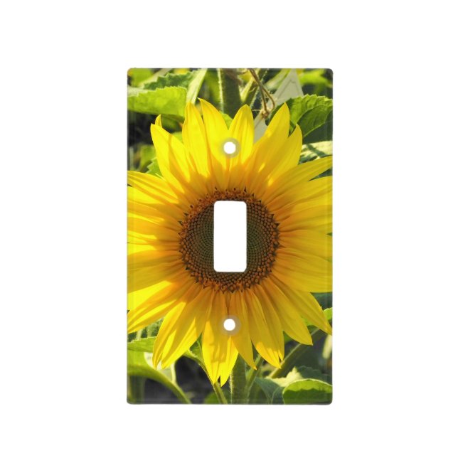 Sunflower Shine Light Switch Cover (Front)