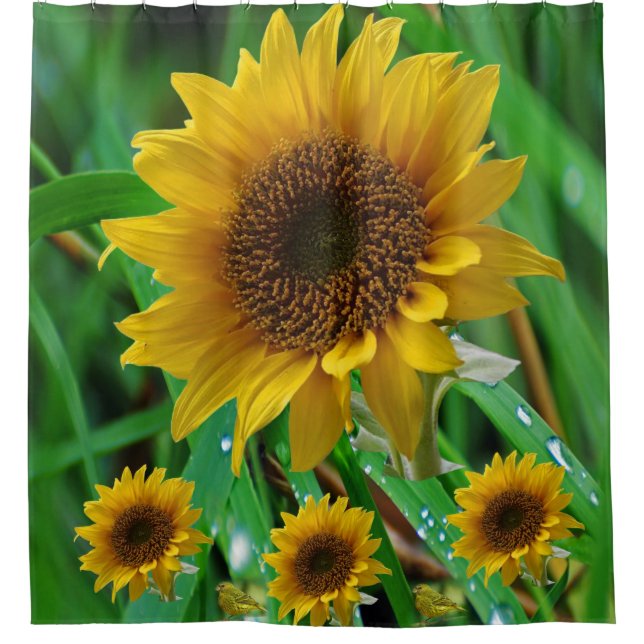 Sunflower Shower Curtains (Front)