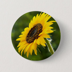 Sunflower Sideshot Pinback Button