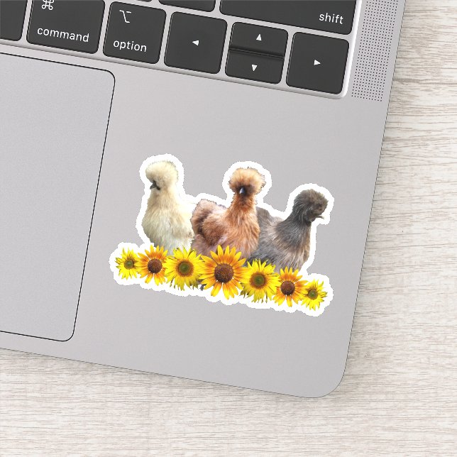 Sunflower Silkie Bantam Chicken Trio Sticker (Detail)