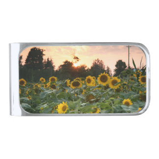 Sunflower silver Finish Money Clip