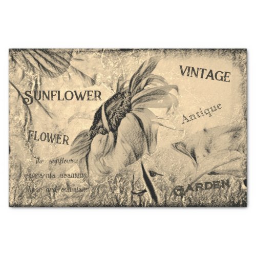 Sunflower Sketch Art Vintage Antique Ephemera Tissue Paper