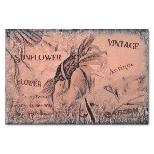 Sunflower Sketch Sepia Vintage Antique Ephemera Tissue Paper