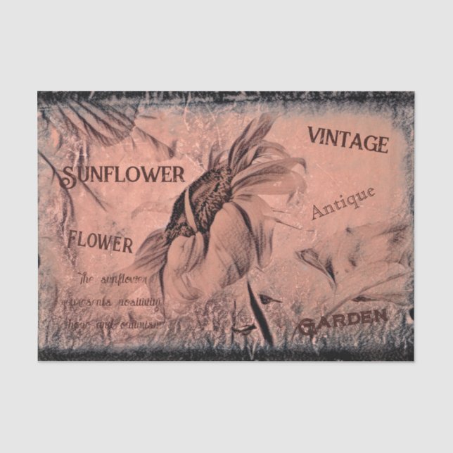 Sunflower Sketch Sepia Vintage Antique Ephemera Tissue Paper (Front)