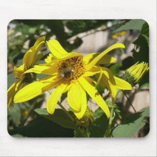 Sunflower snack mouse pad