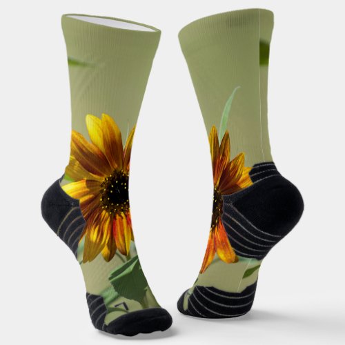 sunflower socks