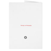 Sunflower Sparkles (Back)