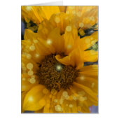 Sunflower Sparkles (Front)