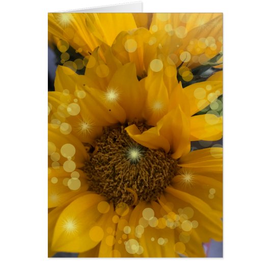 Sunflower Sparkles Cards (Front)