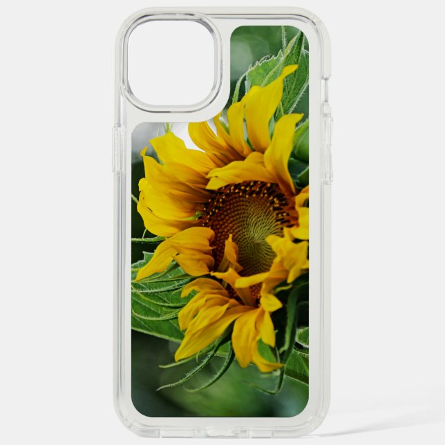 Sunflower Speck iPhone Case (Front)