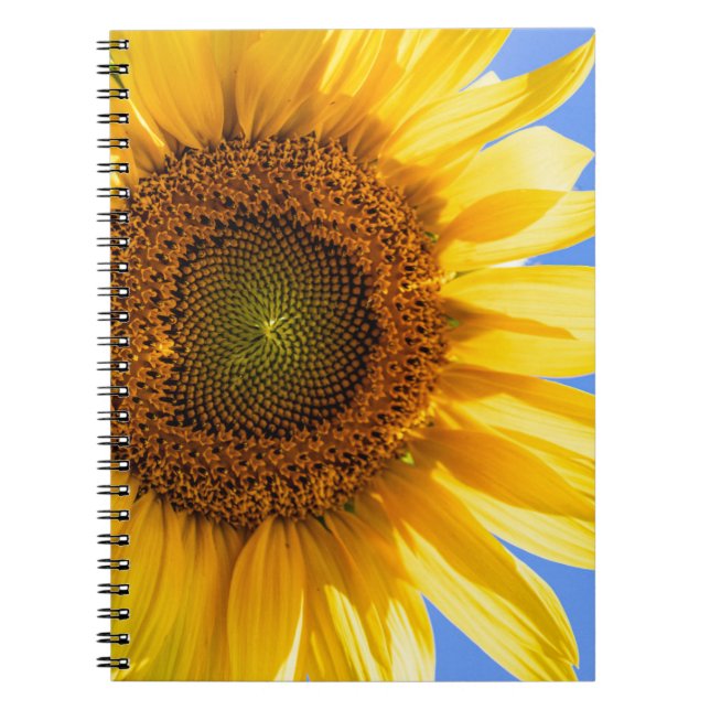 Sunflower Spiral Notebook (Front)