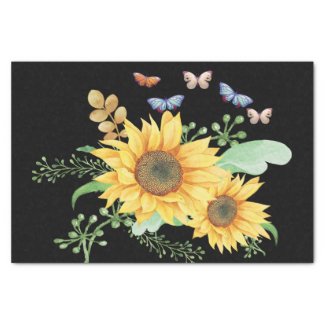 sunflower spring 