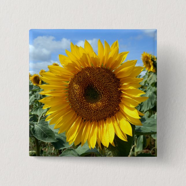 Sunflower Square Badge Button (Front)