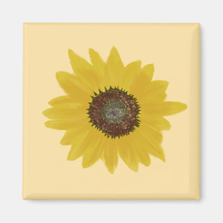 Sunflower Square Magnet