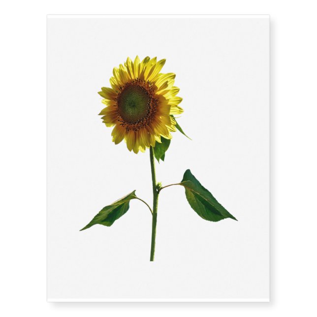 Sunflower Standing Tall Temporary Tattoos (Front)