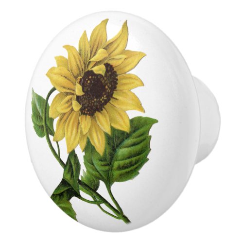 Sunflower Stem Ceramic Knob