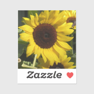 Sunflower Sticker
