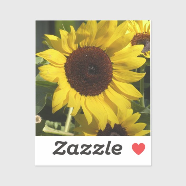 Sunflower Sticker (Sheet)
