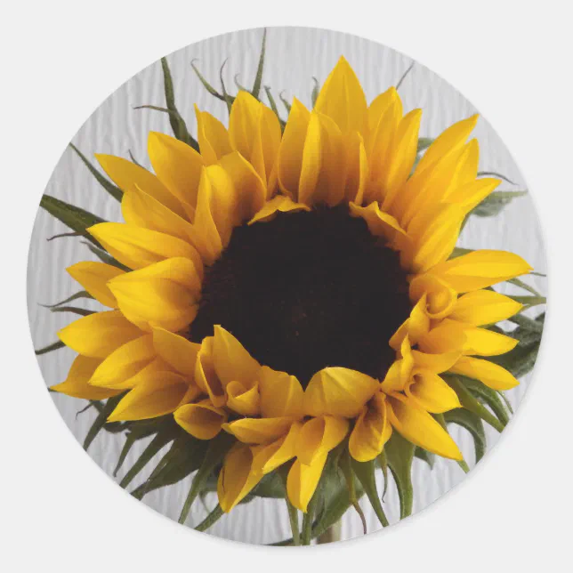 Sunflower Stickers Zazzle