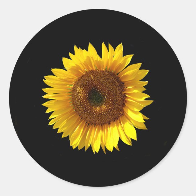 Sunflower Stickers (Front)
