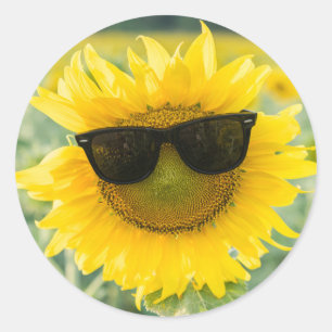 Sunflower Stickers Cute Sunflowers