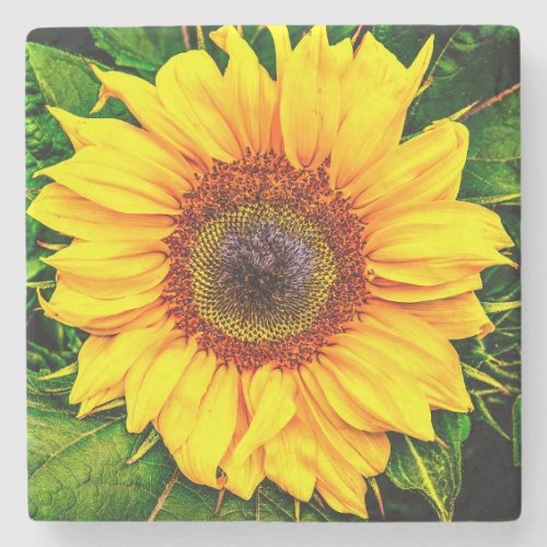 Sunflower Stone Coaster