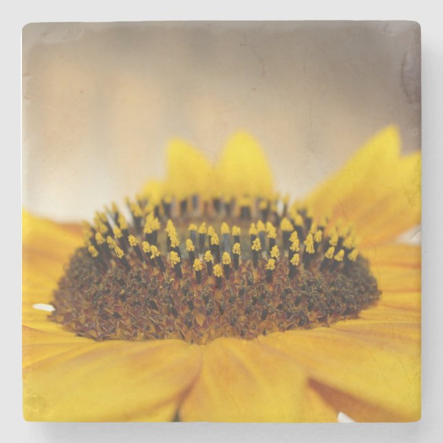 Sunflower Stone Coaster (Front)