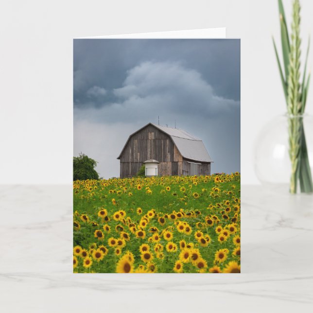 Sunflower Storm Blank Note Card (Front)