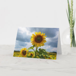 Sunflower Storm Blank Note Card