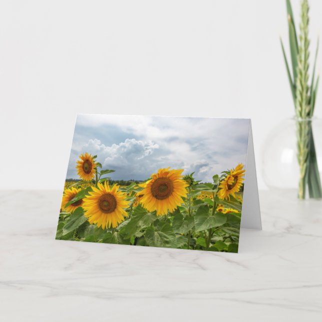 Sunflower Storm Blank Note Card (Front)
