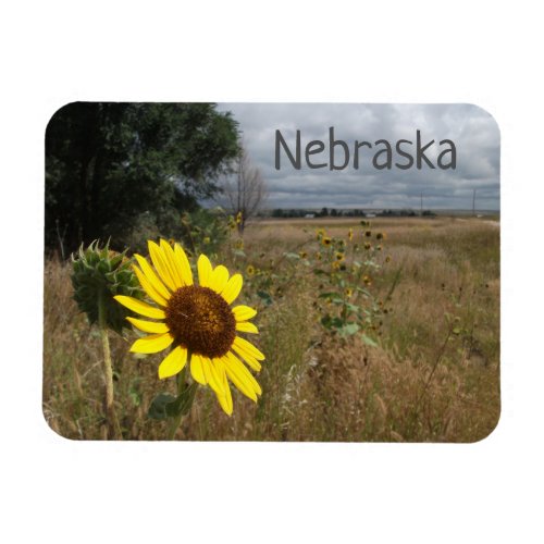 Sunflower Stormy Sky Western Nebraska Landscape Magnet