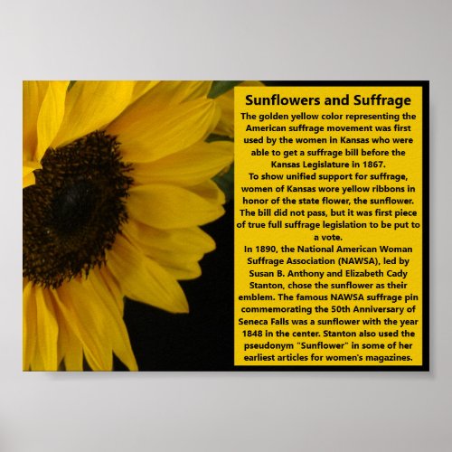 Sunflower suffrage color Symbolism 19th Amendment Poster
