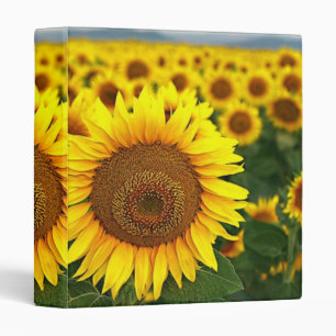 Sunflower Summer - Binder