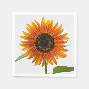Sunflower Summer Evening Napkins