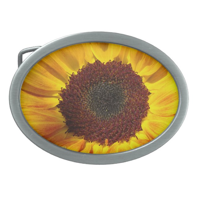 Sunflower Sun - Belt Buckle (Front)