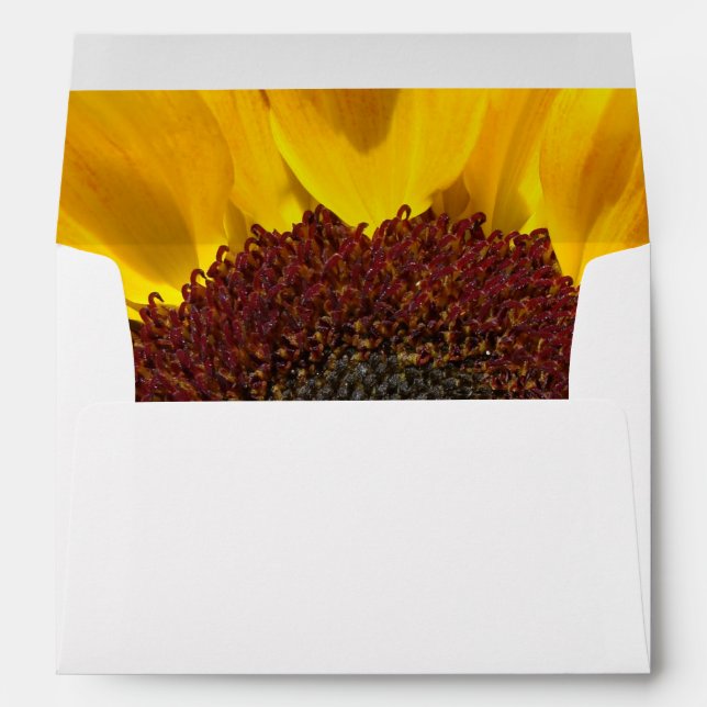 Sunflower Sun Envelope (Back (Bottom))
