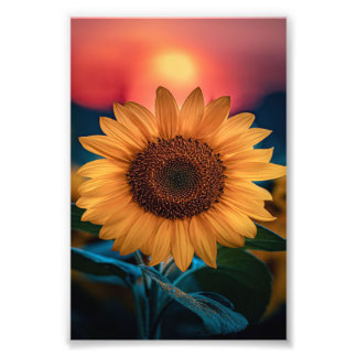 Sunflower sunset - Cute Funny Gift For Daddy/Mommy Photo Print
