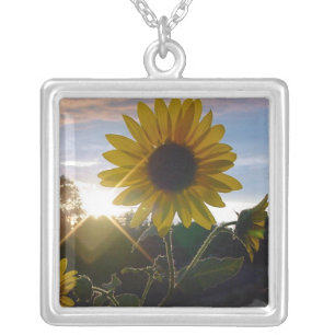Sunflower Sunset Pendant