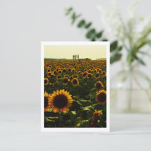 Sunflower Sunset, Sakura City, Japan