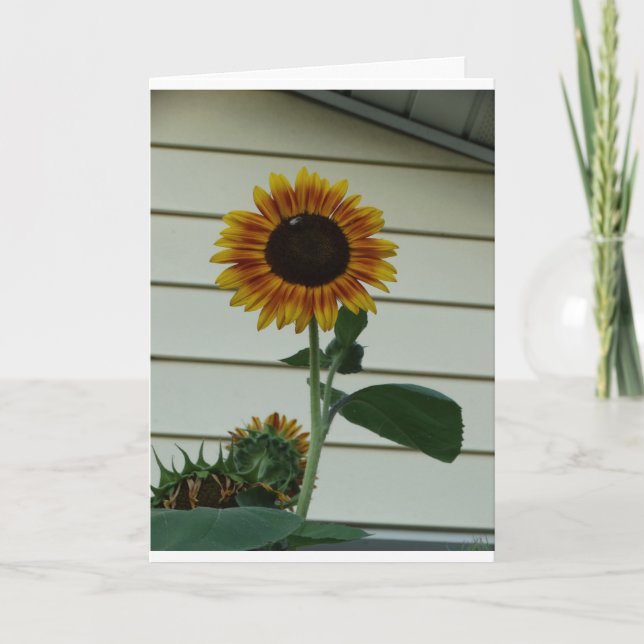 Sunflower Sunshine Day Card (Front)