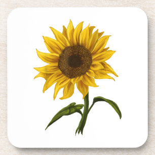Sunflower Sunshine Floral Watercolor Flower Beverage Coaster