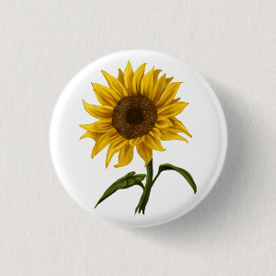 Sunflower Sunshine Floral Watercolor Flower Button