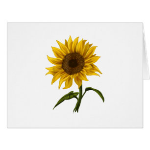 Sunflower Sunshine Floral Watercolor Flower Cards