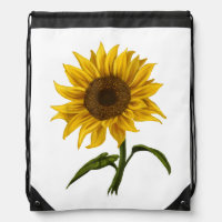 Sunflower Sunshine Floral Watercolor Flower