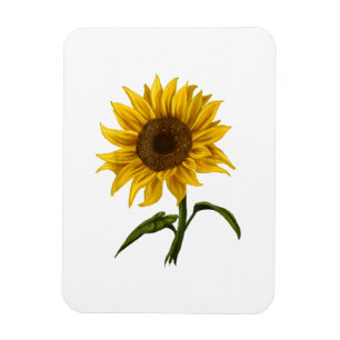 Sunflower Sunshine Floral Watercolor Flower Magnet