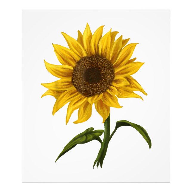 Sunflower Sunshine Floral Watercolor Flower Photo Print (Front)
