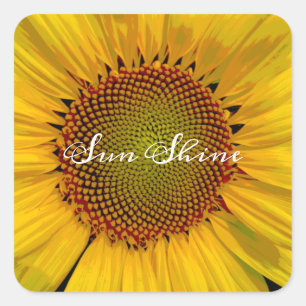 SUNFLOWER SUNSHINE PHOTO SQUARE STICKER