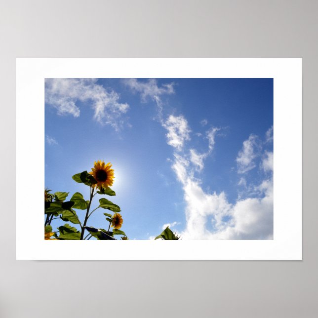 Sunflower & Sunshine Poster (Front)