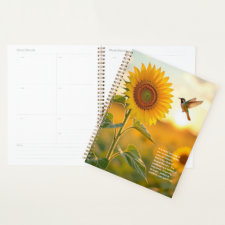 Sunflower Symbolism Calendar
